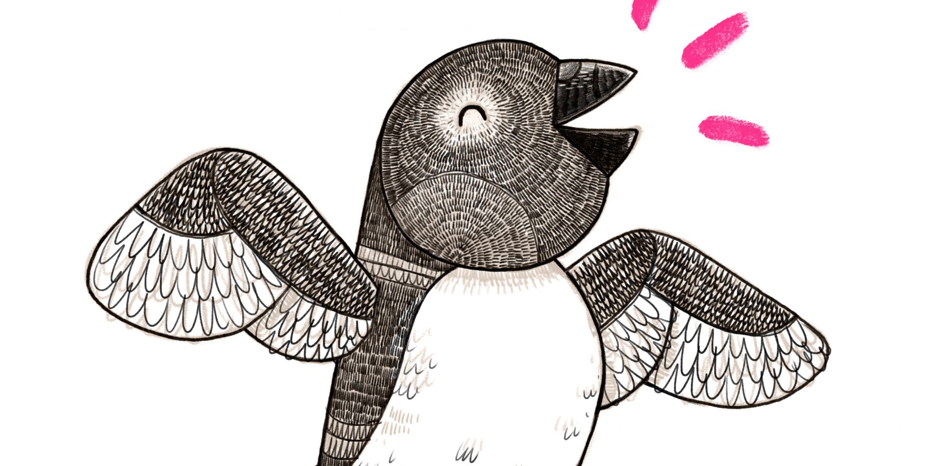 Yoyo & The Little Auk Sign-up